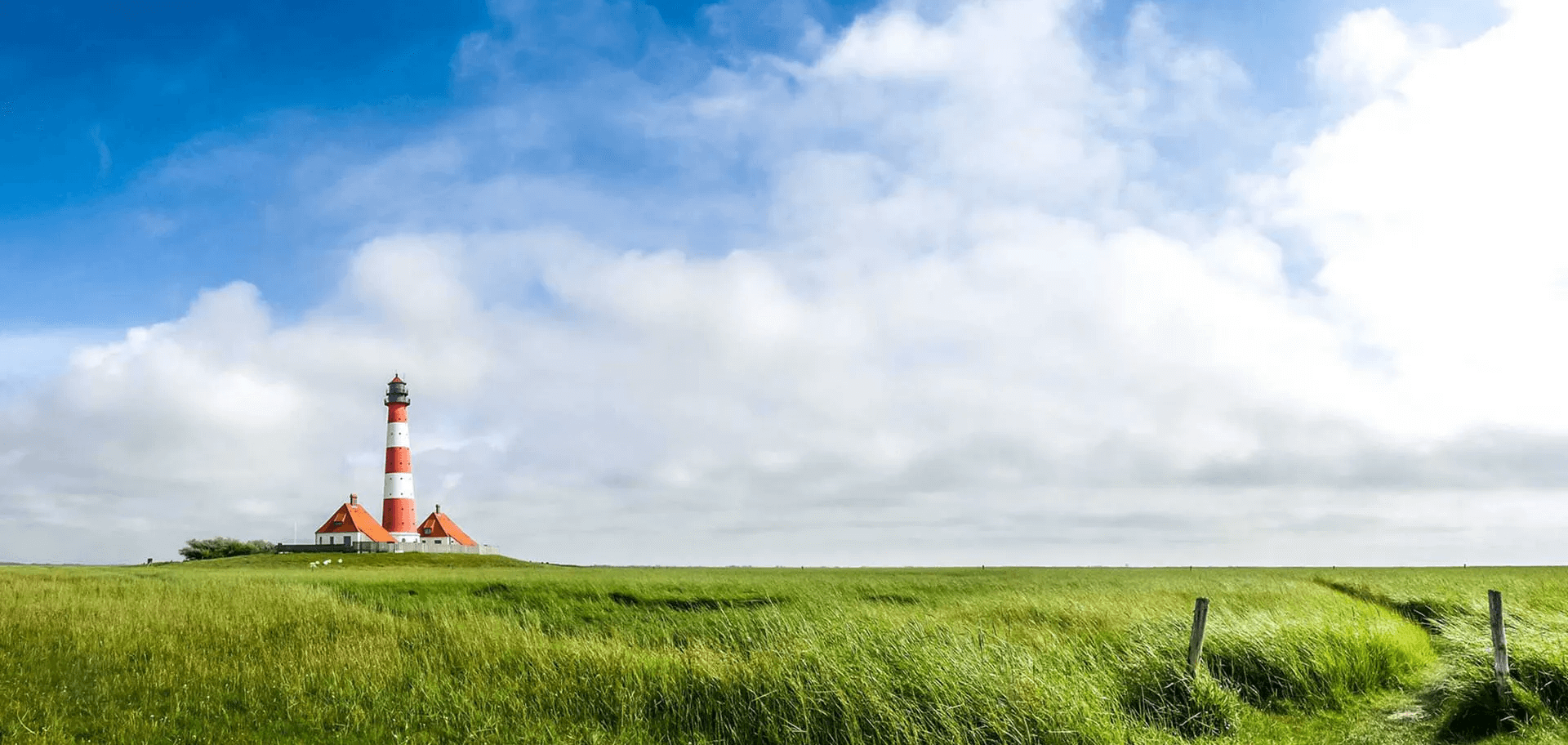 nordsee ferienhaus mit hund